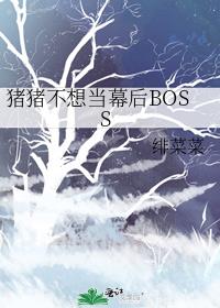 뵱ĻBOSS