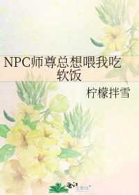 NPCʦιҳ